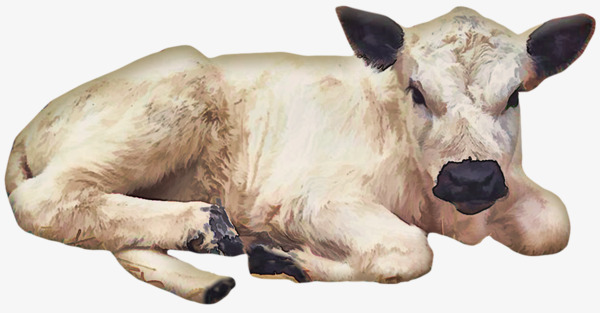 Cow with baby PNG, cow with m