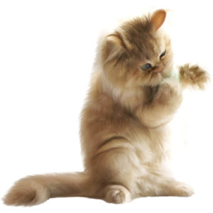 Nld Cat.png   Kitten Png Hd - Baby Cat, Transparent background PNG HD thumbnail