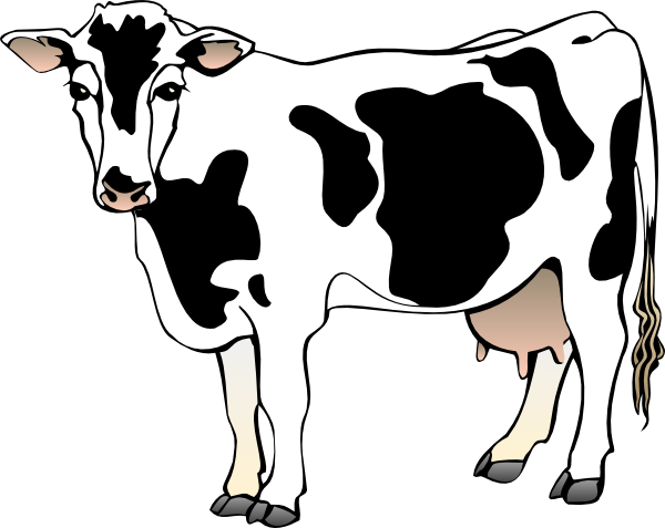 Baby Cow Clipart | Clipart Library   Free Clipart Images - Baby Cow, Transparent background PNG HD thumbnail