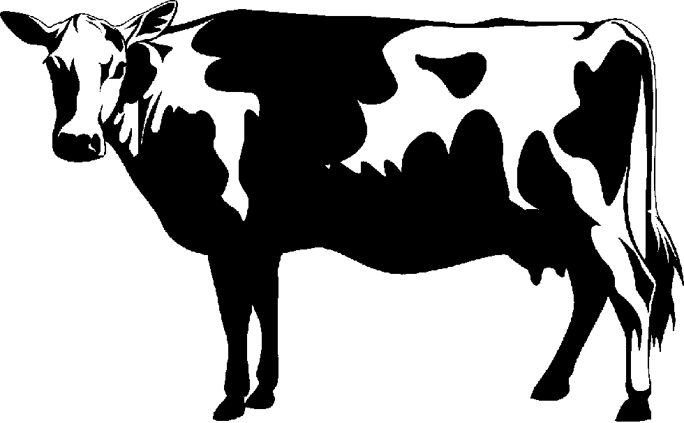 Clipart « Practica Technical - Baby Cow, Transparent background PNG HD thumbnail