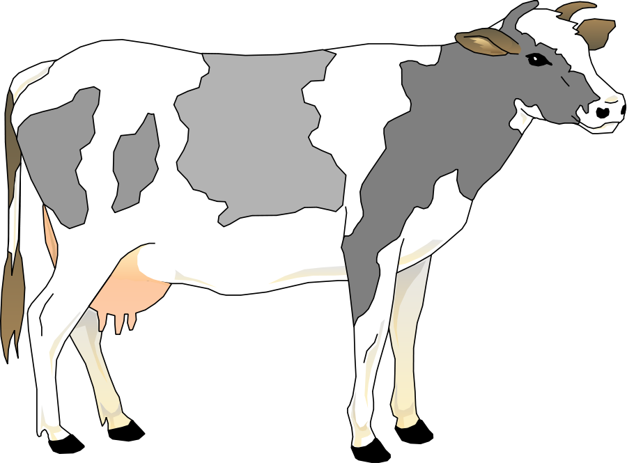 Cow 3 Small Clipart 300Pixel Size, Free Design - Baby Cow, Transparent background PNG HD thumbnail