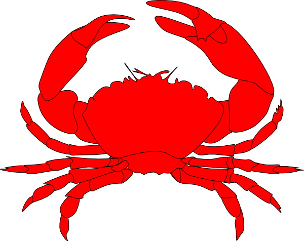 Crab Png - Baby Crab, Transparent background PNG HD thumbnail