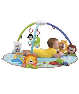 Deluxe Musical Activity Gym - Baby Gym, Transparent background PNG HD thumbnail