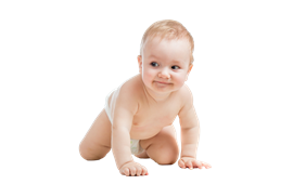 Baby - Baby, Transparent background PNG HD thumbnail