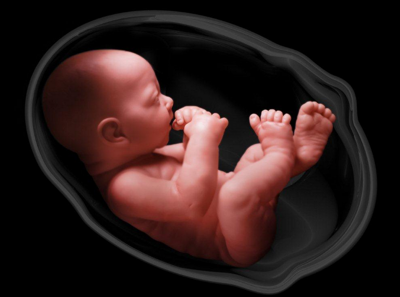 Babies Exposed To Marijuana In The Womb Have Better Eyesight Apparently Screen Shot 2015 11 26 - Baby In Womb, Transparent background PNG HD thumbnail