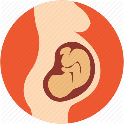 Baby Womb, Fetal Development, Human Fetus, Motherhood, Pregnancy Icon - Baby In Womb, Transparent background PNG HD thumbnail