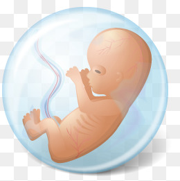 Creative Medical Fetus, Creative Medical Fetus, Medical Decoration, Medical Decorative Pattern Png Image - Baby In Womb, Transparent background PNG HD thumbnail