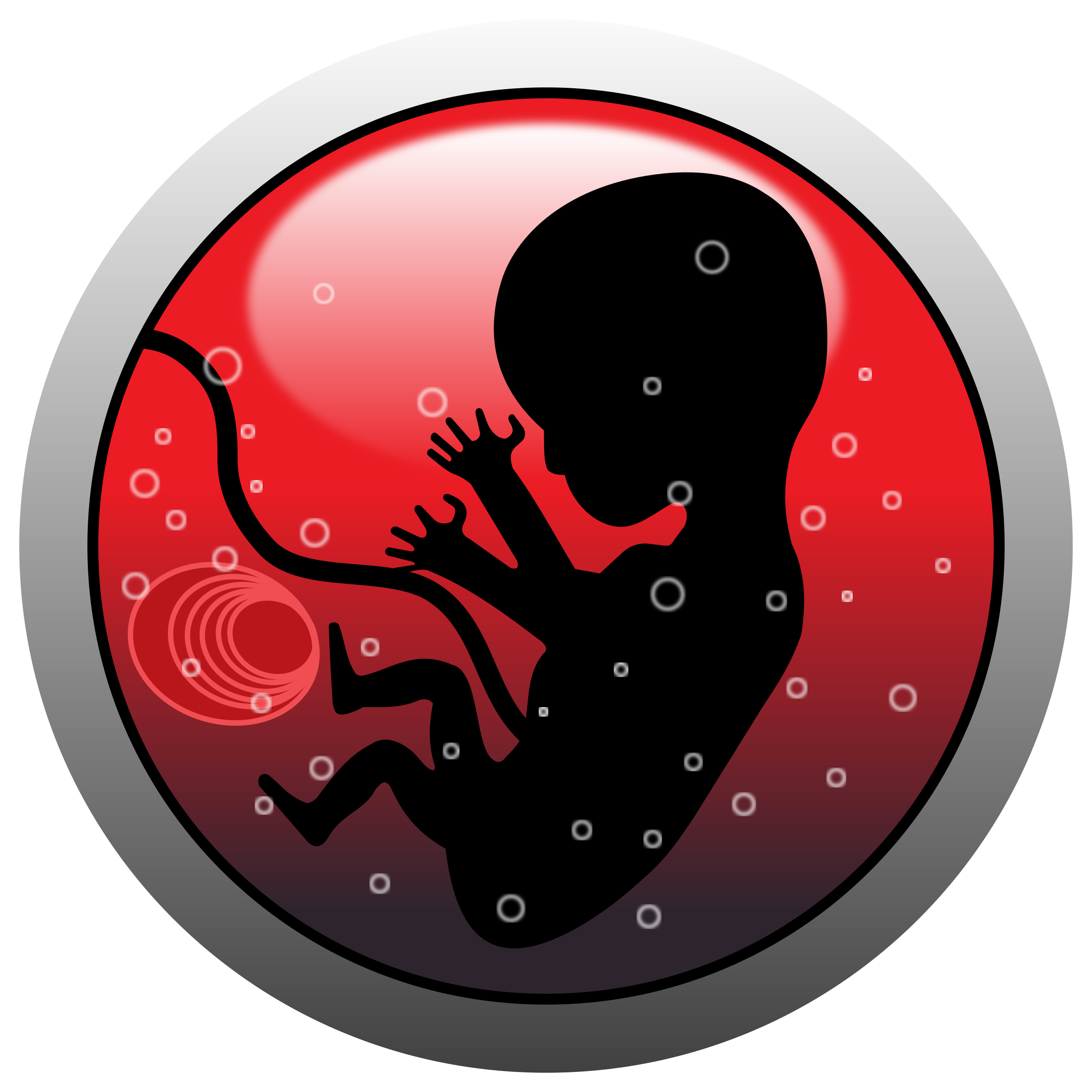 Free Photos U003E Vector Images U003E Baby In Womb Hdpng.com  - Baby In Womb, Transparent background PNG HD thumbnail