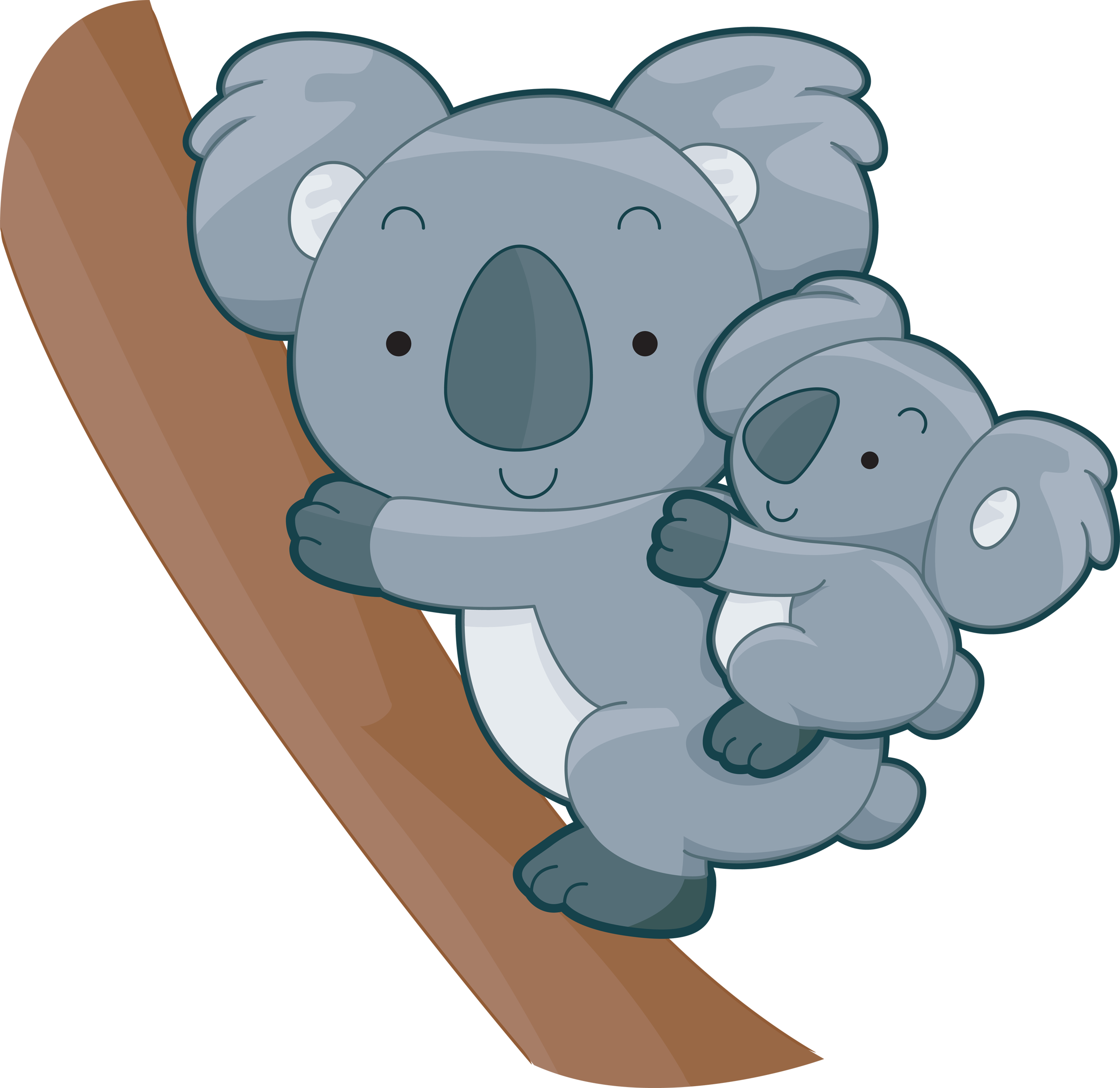 Mother And Baby Koala, So Sweet, Australian Animals - Baby Koala, Transparent background PNG HD thumbnail