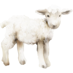Baby Lamb Clip Art   Minus .