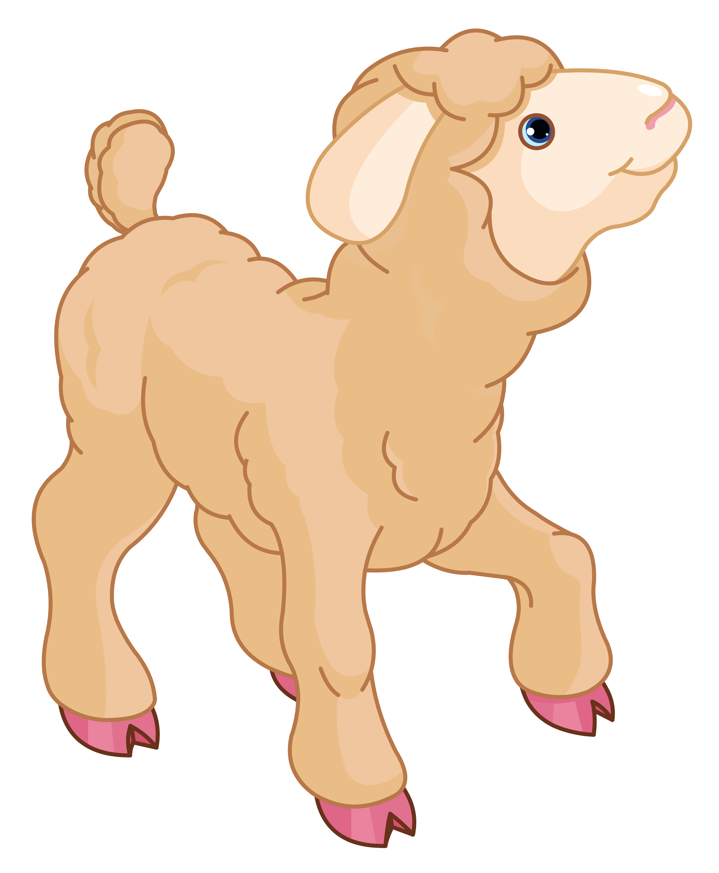 Little Lamb Png Clipart - Baby Lamb, Transparent background PNG HD thumbnail