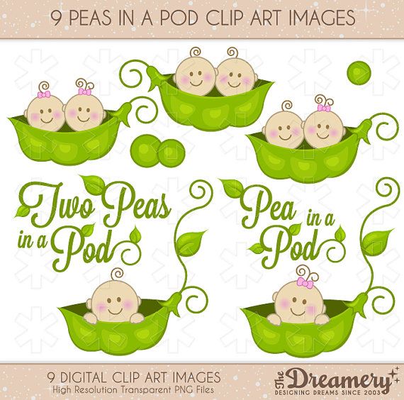 9 Peas In A Pod Baby Shower Clip Art Images   Instant Download   Png   - Baby Pea Pod, Transparent background PNG HD thumbnail