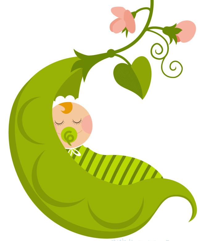 Baby-in-a-pea-pod - Nikki Boruch | Angel Readings |, Baby Pea Pod PNG - Free PNG
