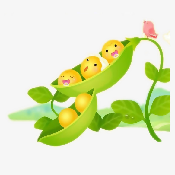 Baby Pod Illustration, Cartoon Soybean, Soybean, Cartoon Peas Png Image And Clipart - Baby Pea Pod, Transparent background PNG HD thumbnail