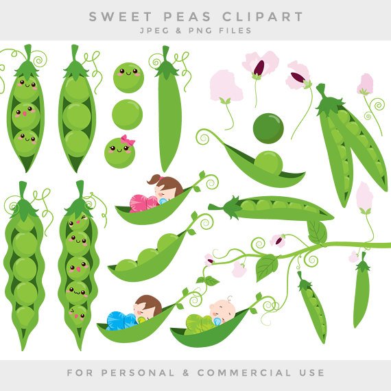 Peas In A Pod Clip Art Sweet Peas Clipart Baby Babies Green Vines Flowers Sweetpeas Digital For Scrapbooking Invites Commercial Use - Baby Pea Pod, Transparent background PNG HD thumbnail