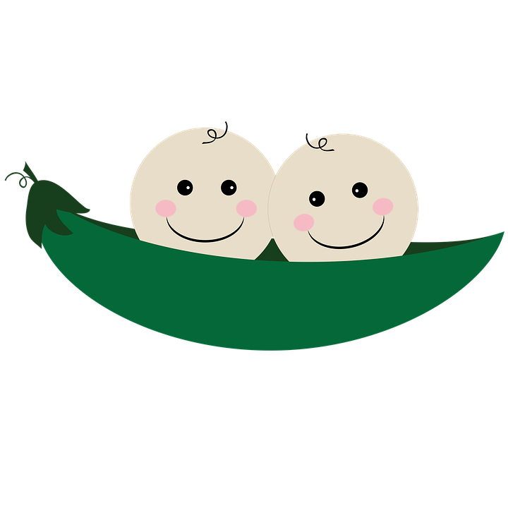 Twins Two Peas In A Pod Pea Pod Pea Pod Baby - Baby Pea Pod, Transparent background PNG HD thumbnail