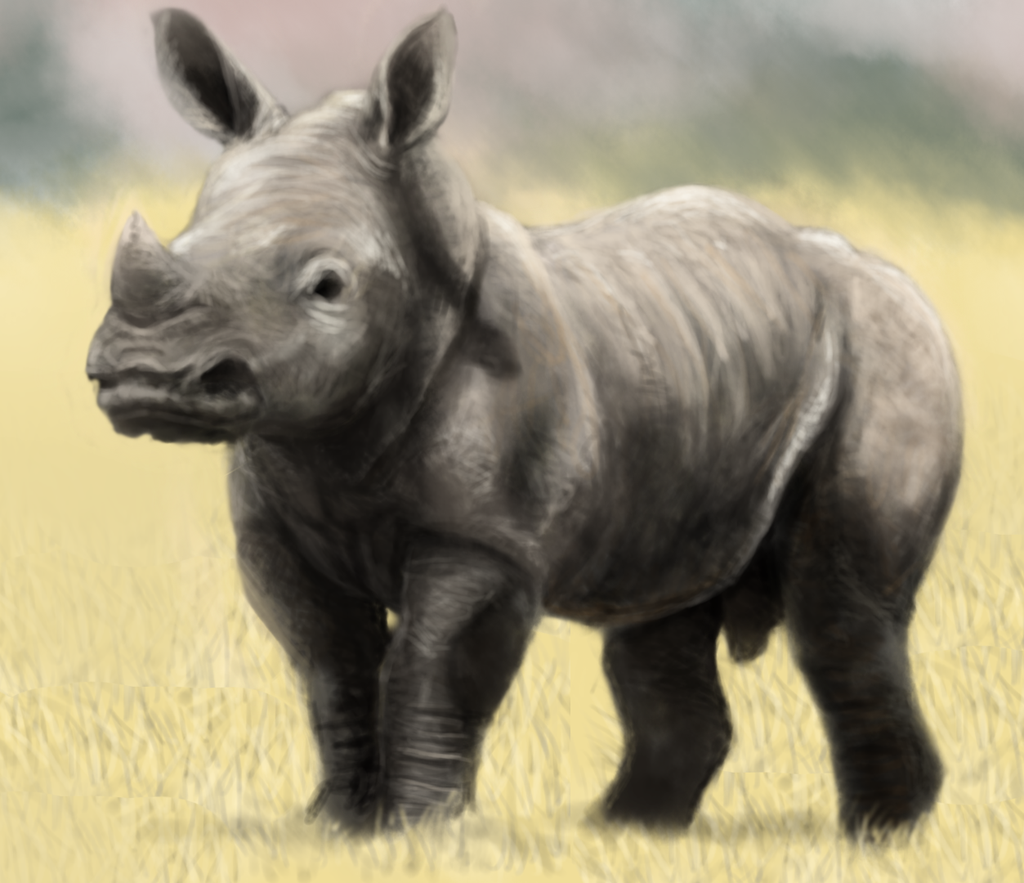 . Hdpng.com Baby Rhino By Petey Chan - Baby Rhino, Transparent background PNG HD thumbnail