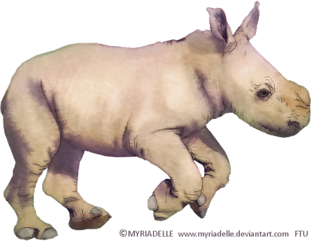 Myriadelle 12 0 Baby Rhino Ftu Tube By Myriadelle - Baby Rhino, Transparent background PNG HD thumbnail