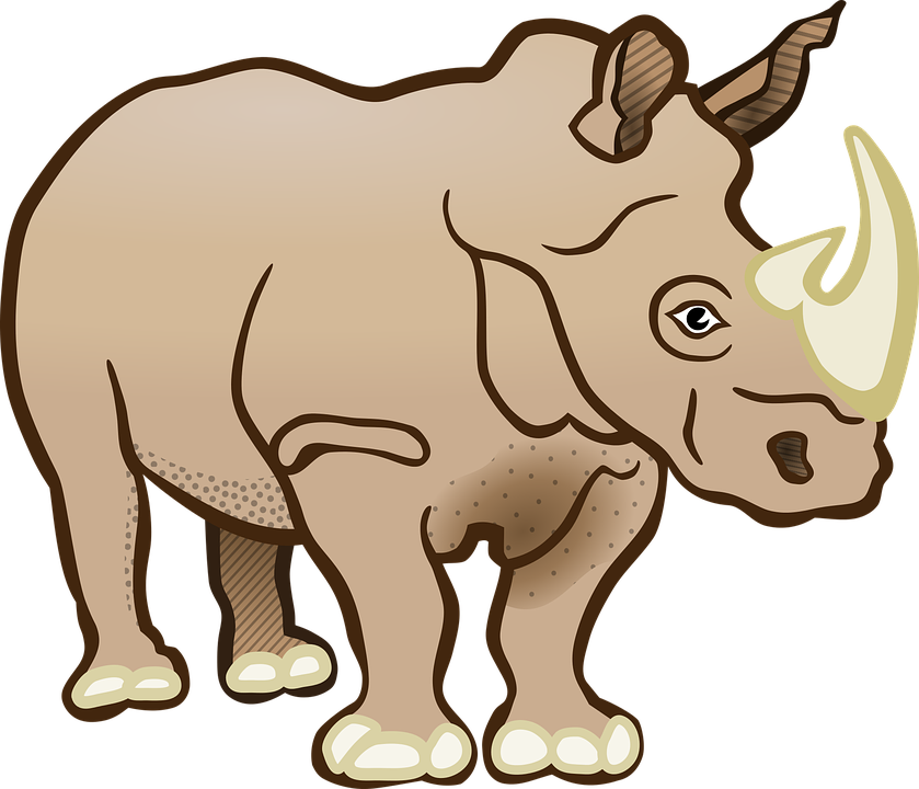 Rhino, Rhinoceros, Mammal, Africa, Safari, Animals - Baby Rhino, Transparent background PNG HD thumbnail