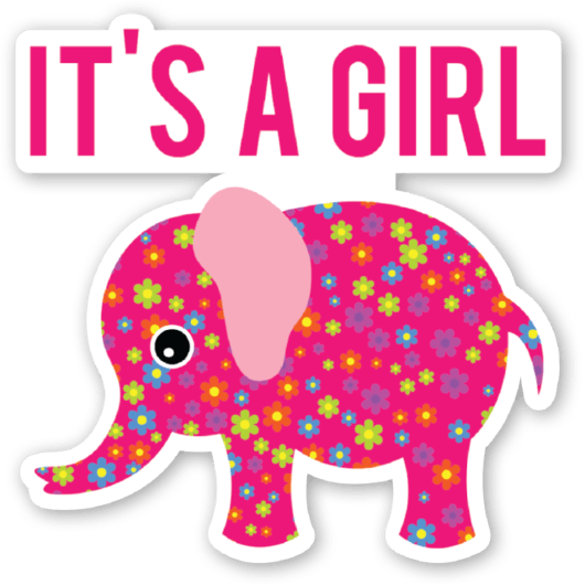 Elephant Baby Shower Its A Girl.png (530× - Baby Shower Its A Girl, Transparent background PNG HD thumbnail