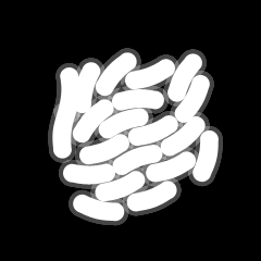 Bacteria - Bacteria, Transparent background PNG HD thumbnail