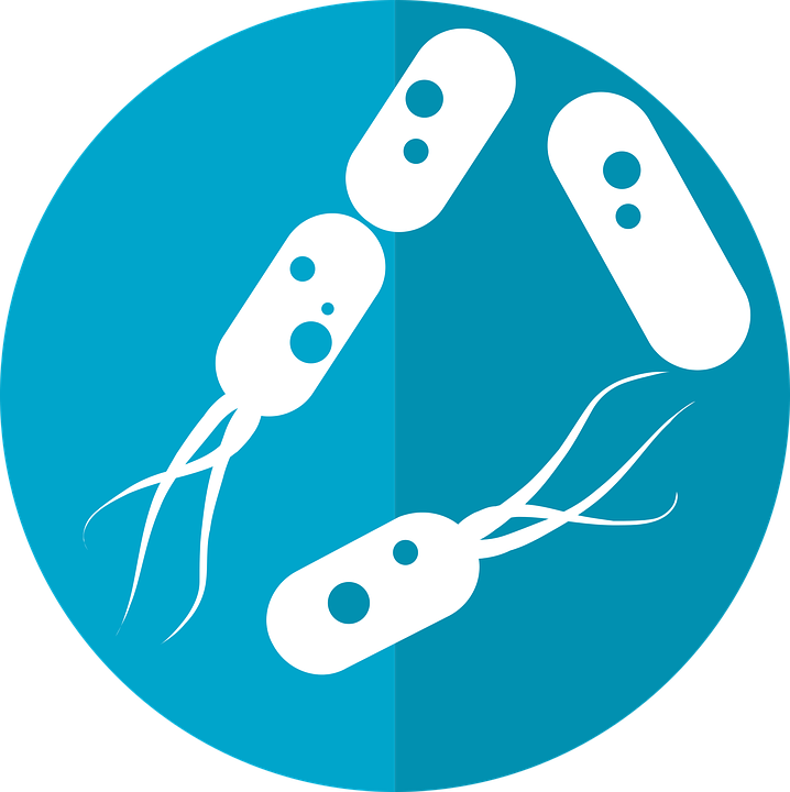 Bacteria Icon Microbiome Icon Gut Bacteria Flora - Bacteria, Transparent background PNG HD thumbnail