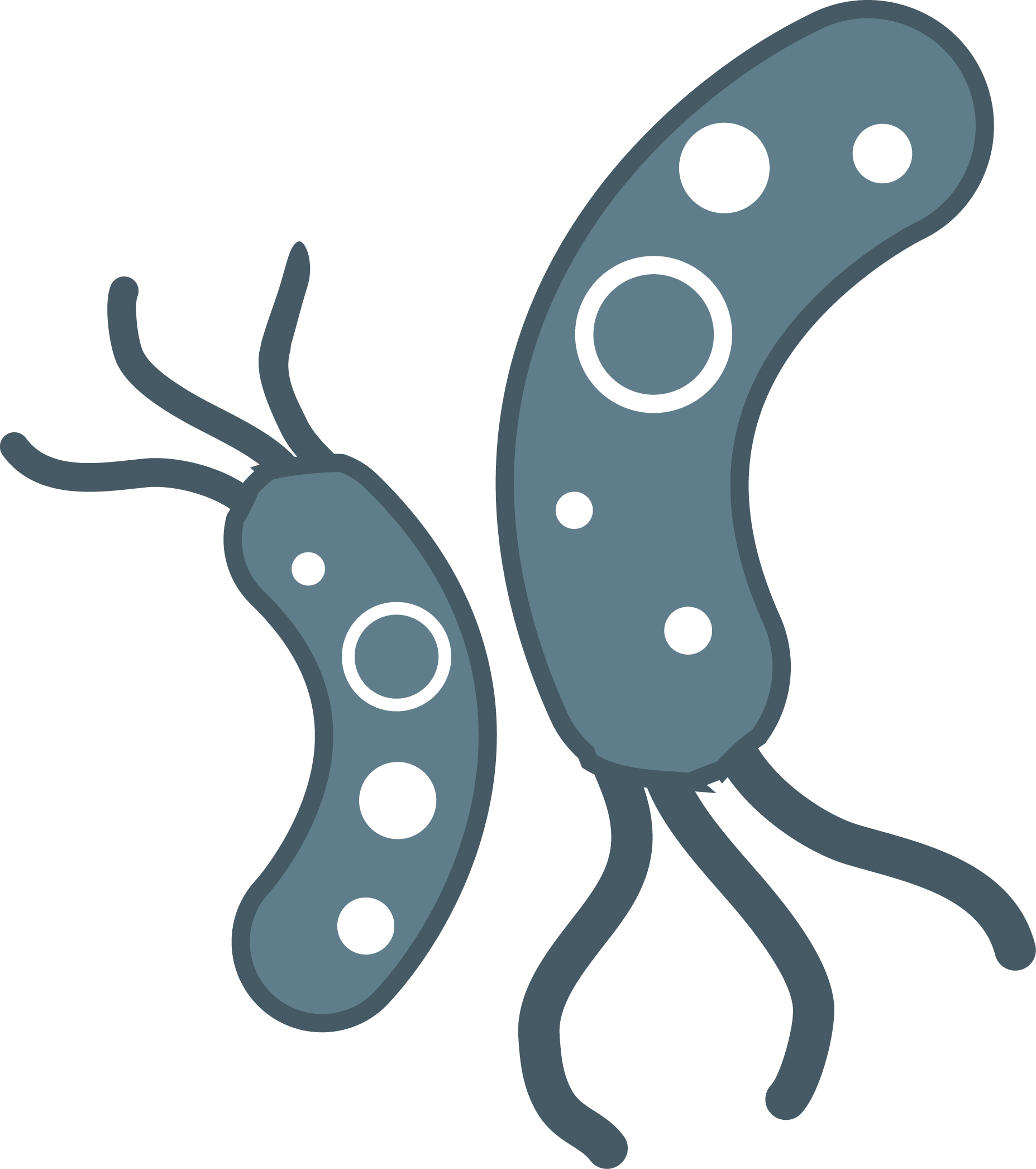 Bacteria Png File - Bacteria, Transparent background PNG HD thumbnail