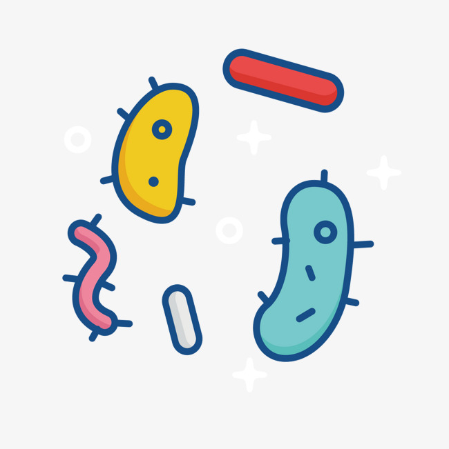 Color Bacteria, Colour, Cartoon, Bacteria Png And Vector - Bacteria, Transparent background PNG HD thumbnail