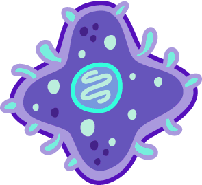 File:bacteria Cell.png - Bacteria, Transparent background PNG HD thumbnail