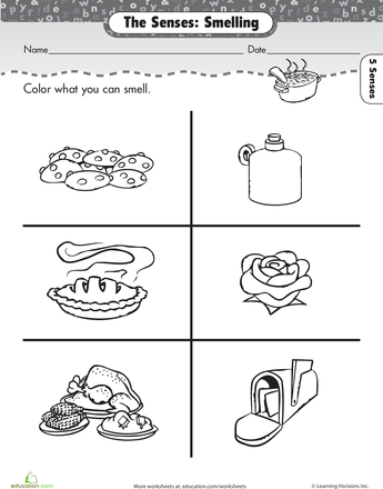 The Five Senses: Smelling | Worksheet | Education Pluspng.com - Bad Smell Objects Black And White, Transparent background PNG HD thumbnail