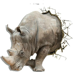 Freetoedit Scrhino Rhino - Badak, Transparent background PNG HD thumbnail