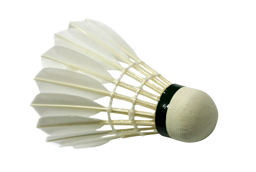 Badminton Player PNG Photos