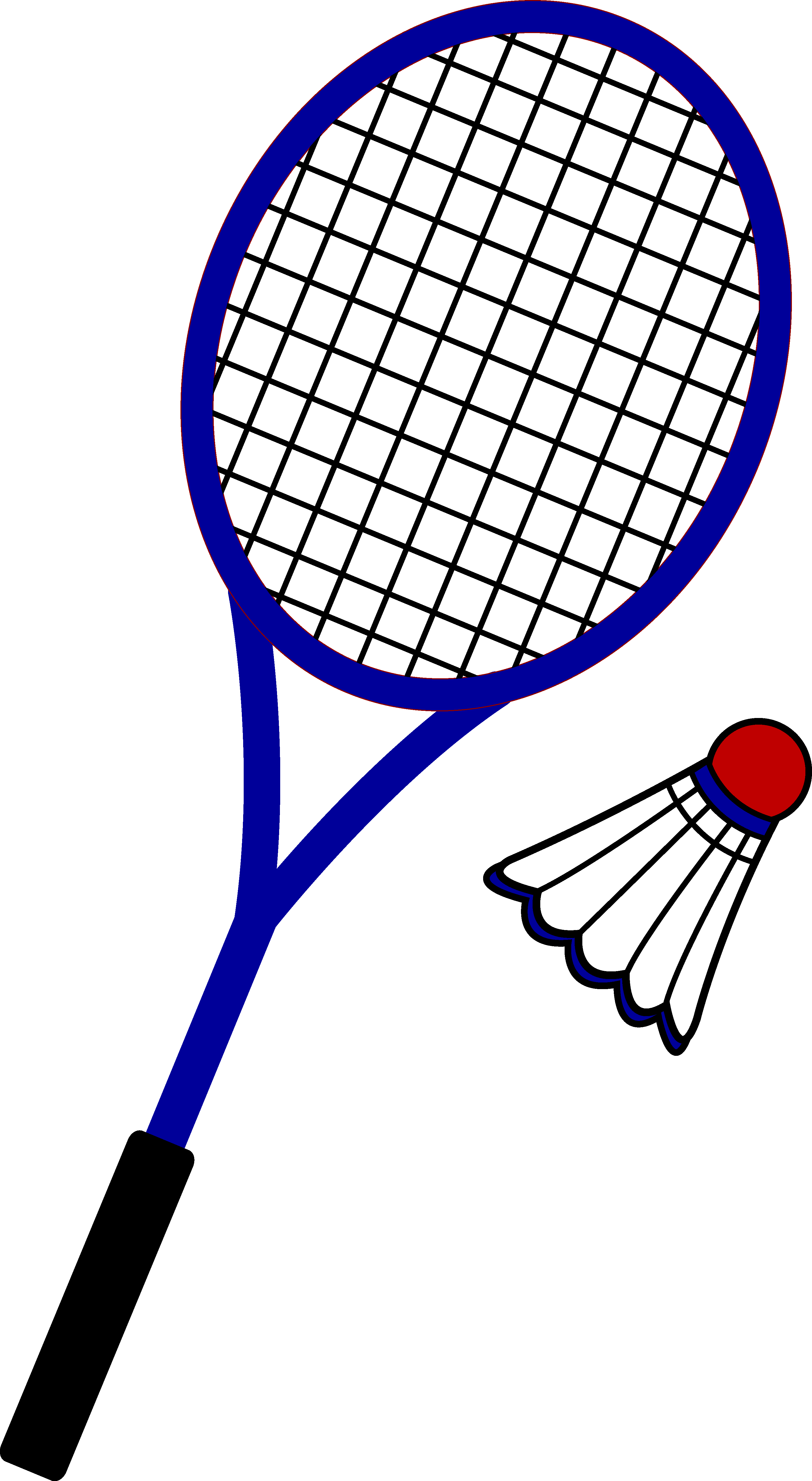 Badminton is the best sport i