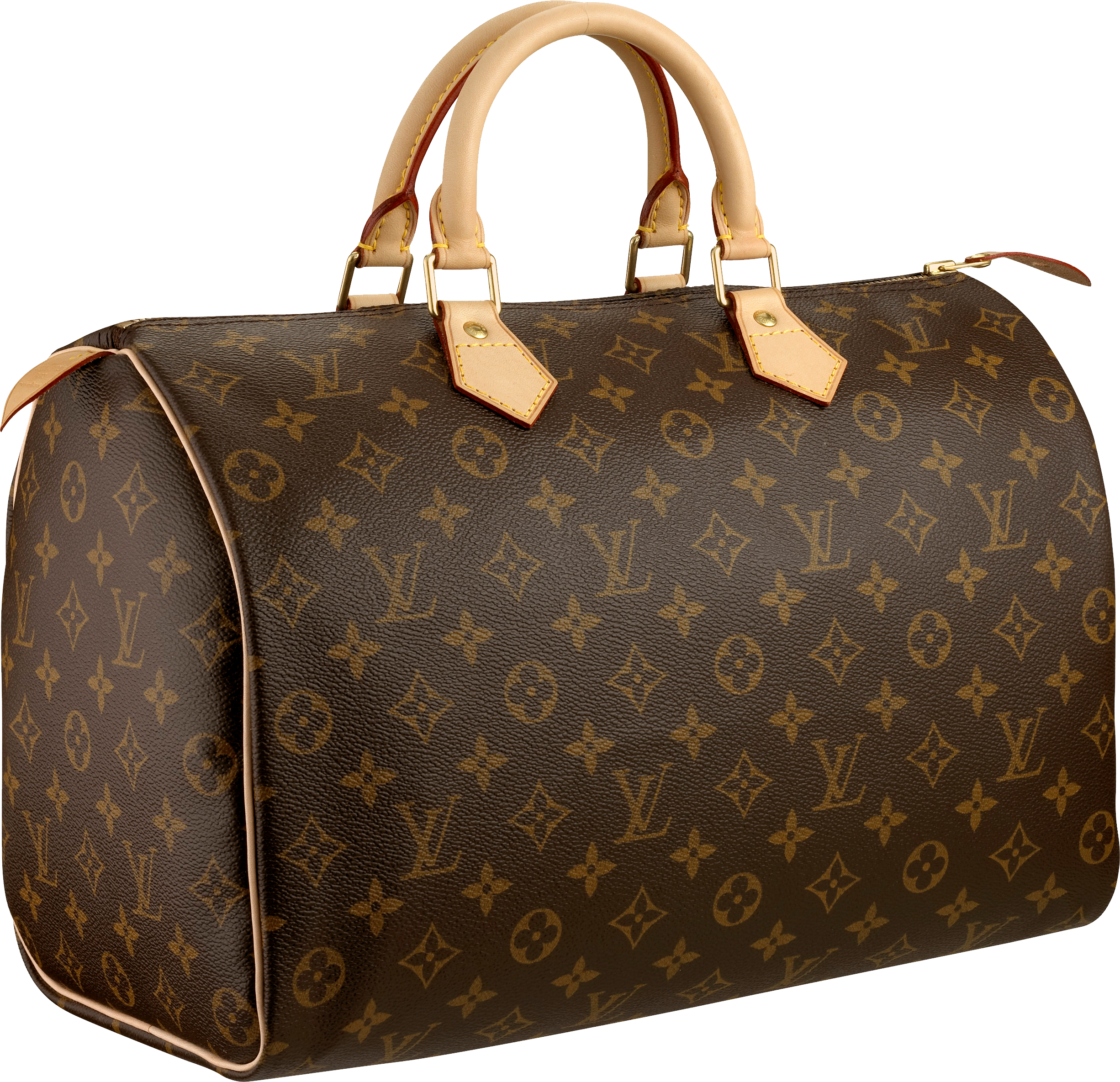 Louis Vuitton Women Bag Png Image - Bag, Transparent background PNG HD thumbnail