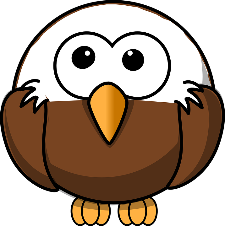 Bald Eagle Young Bird Wild Cartoon Baby Mascot - Bald Baby, Transparent background PNG HD thumbnail