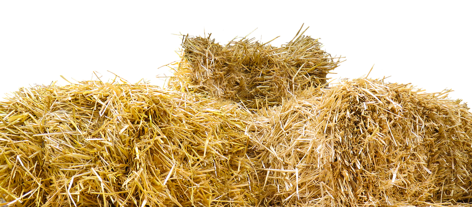 Straw Straw Bales Isolated Agriculture Harvest - Bale Of Hay, Transparent background PNG HD thumbnail