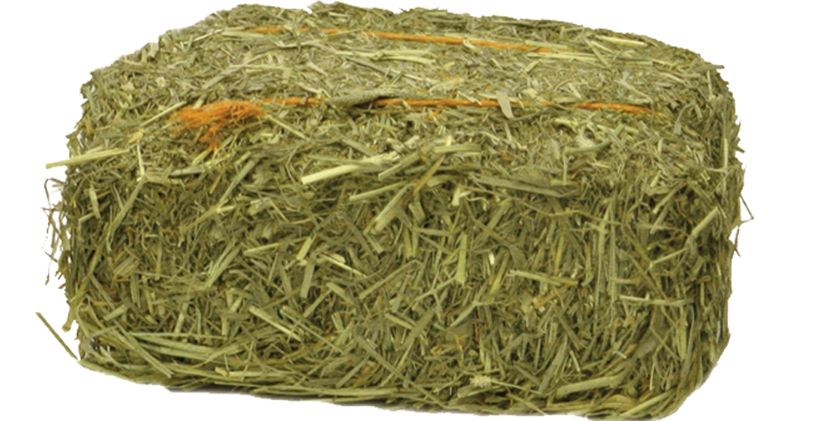 Timothy Mini Hay Bales - Bale Of Hay, Transparent background PNG HD thumbnail