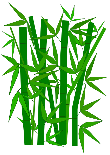 Bamboo - Bamboo, Transparent background PNG HD thumbnail