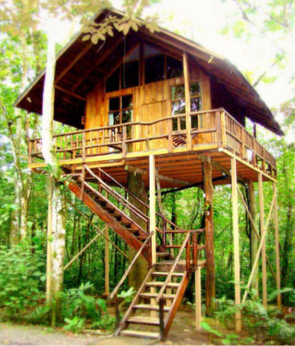Lofty Hooch Bamboo Tree House - Bamboo Hut, Transparent background PNG HD thumbnail