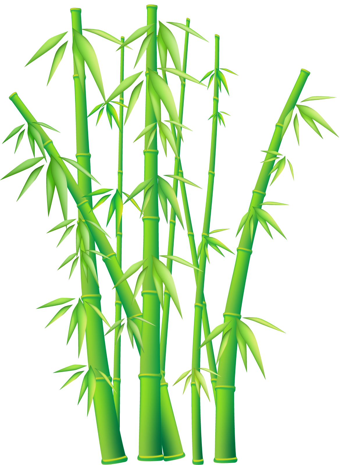 Bamboo Clipart #27009