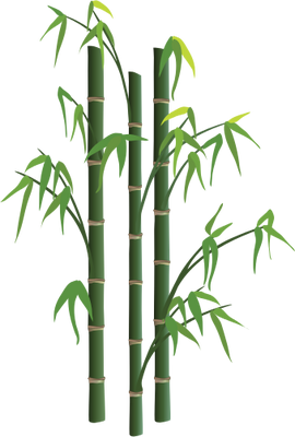 The bamboo tree clipart