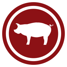 Bbq To Go - Barbecue Pig, Transparent background PNG HD thumbnail