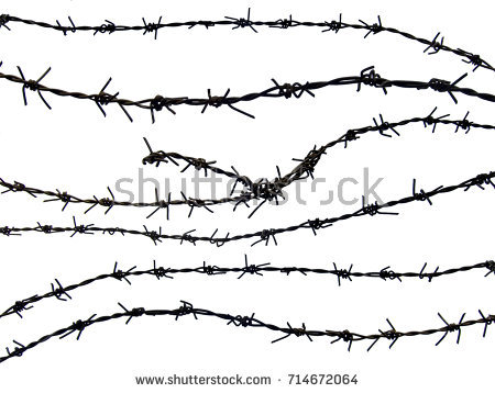 Barbed Wire Isolated On White Background Stock Photo (Royalty Free) 714672064   Shutterstock - Barbed Wire Border, Transparent background PNG HD thumbnail