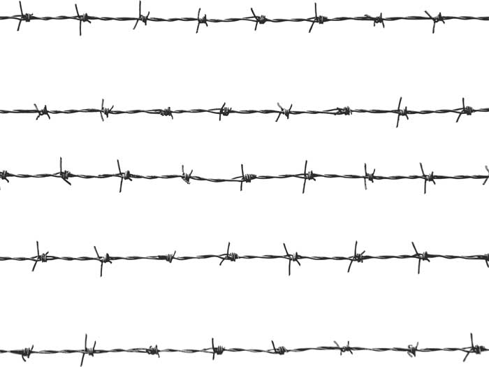 Shenzhou City Hdpng.com  - Barbed Wire, Transparent background PNG HD thumbnail