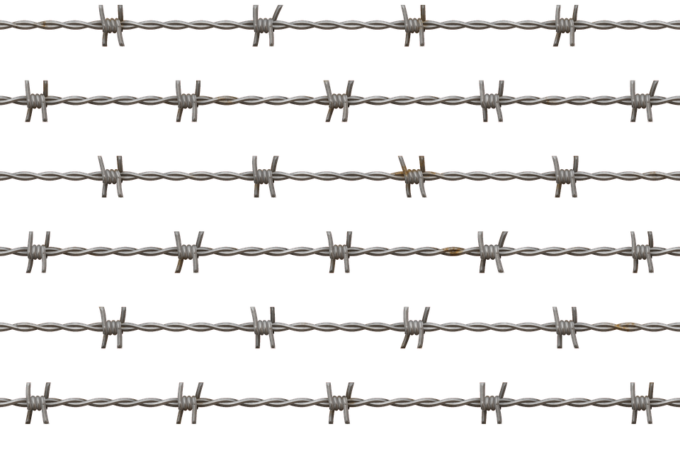 Pix For Barbed Wire Border Pn