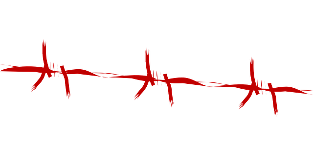 . PlusPng.com Barbed Wire PNG