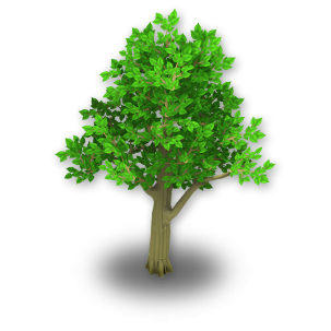 Apple Tree Stage 1 - Bare Apple Tree, Transparent background PNG HD thumbnail
