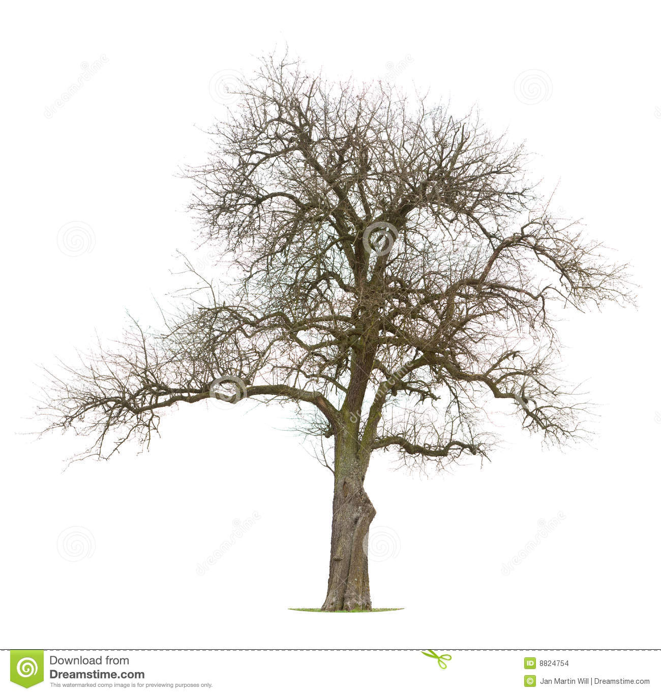 Bare Branched Apple Tree Stock Images - Bare Apple Tree, Transparent background PNG HD thumbnail