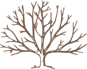 Bare Tree Clip Art | Brown Bare Tree Clip Art   Vector Clip Art Online, - Bare Apple Tree, Transparent background PNG HD thumbnail
