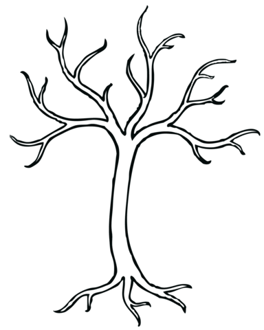 Bare Tree Coloring Page - Bare Apple Tree, Transparent background PNG HD thumbnail